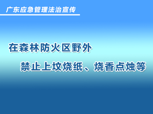 2937765.jpg