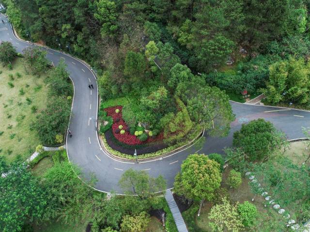 环球国际官网
神光山旅游风景区内的“四好农村路”，成为扮靓景区的要素。