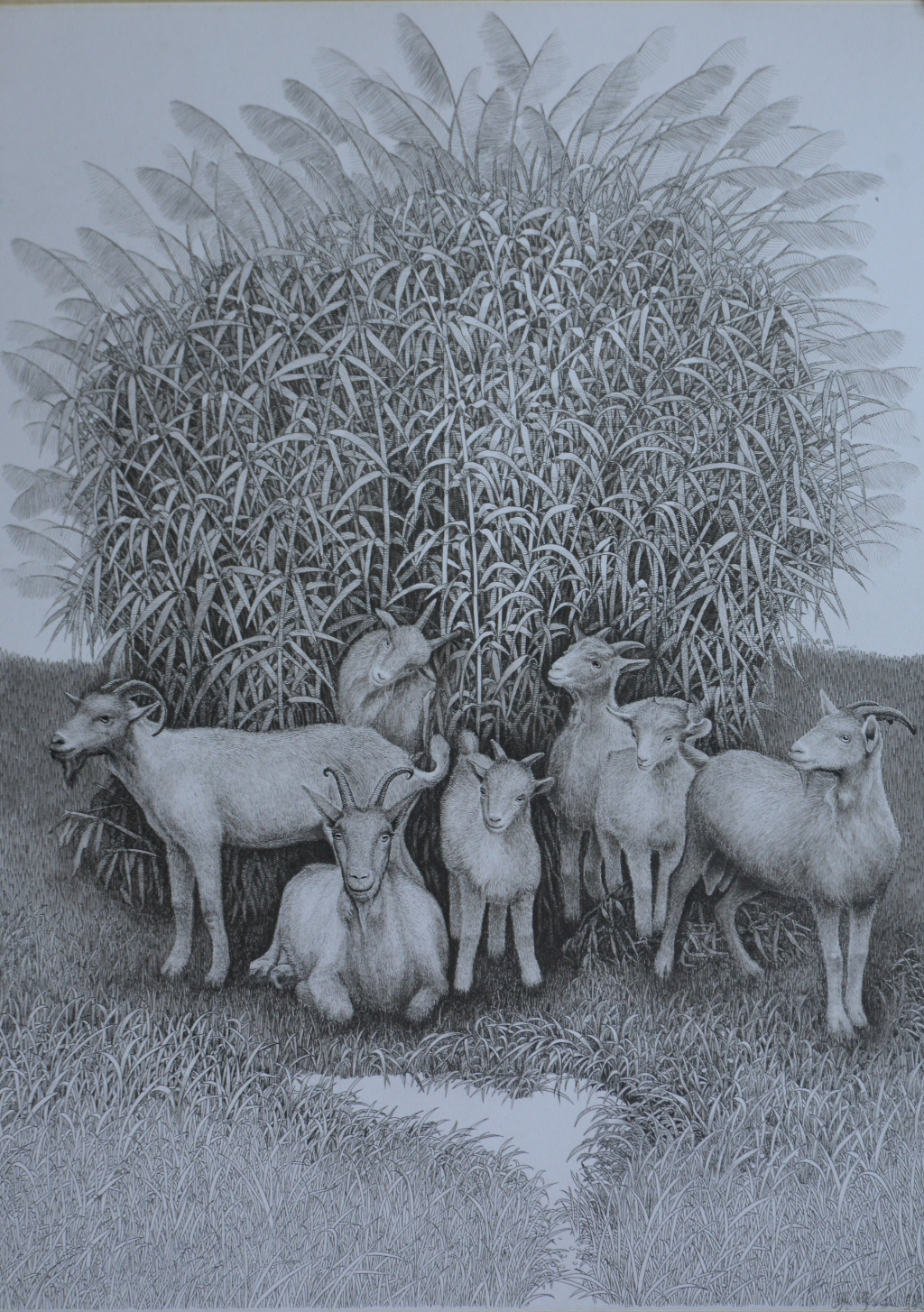 陈苑璇绿原日暖钢笔画37&times;53CM.jpg