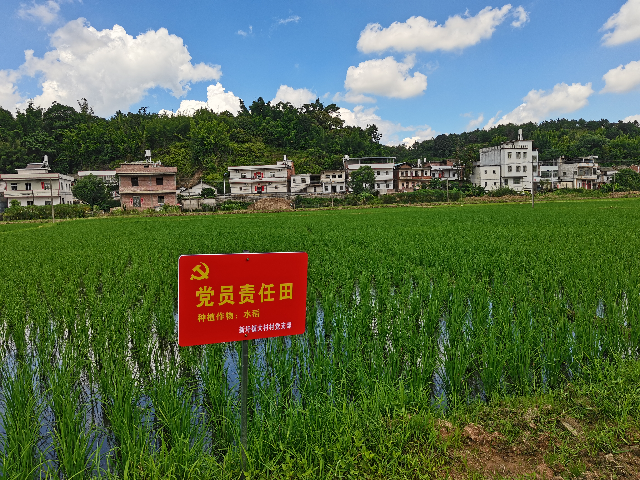 已编辑图片
