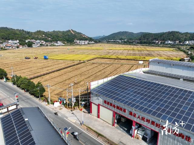 环球国际官网
晚稻收割目前已完成90％。