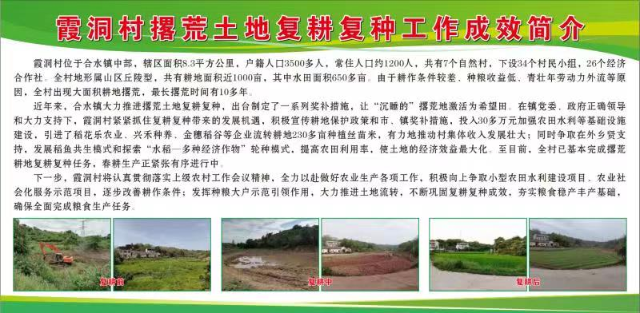 已编辑图片