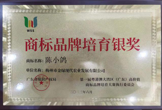 已编辑图片