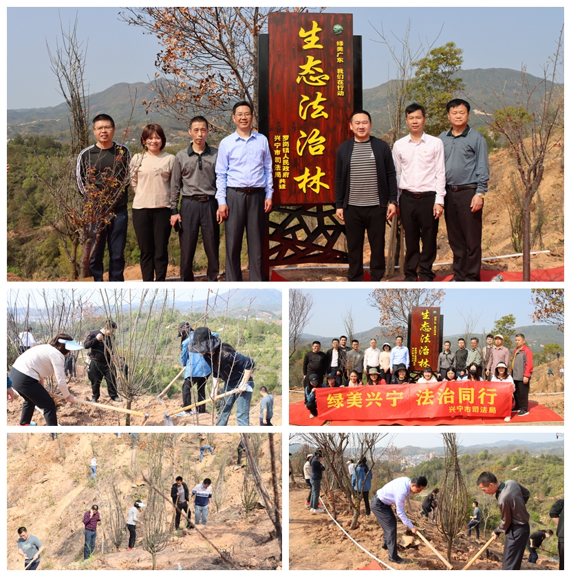 图4 与罗岗镇人民政府共建“生态法治林”（拼图）.JPG.jpg