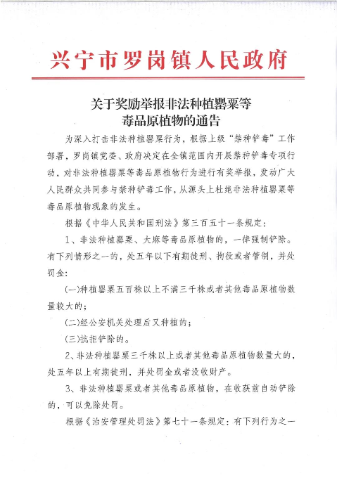 已编辑图片