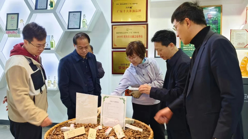油茶1.png