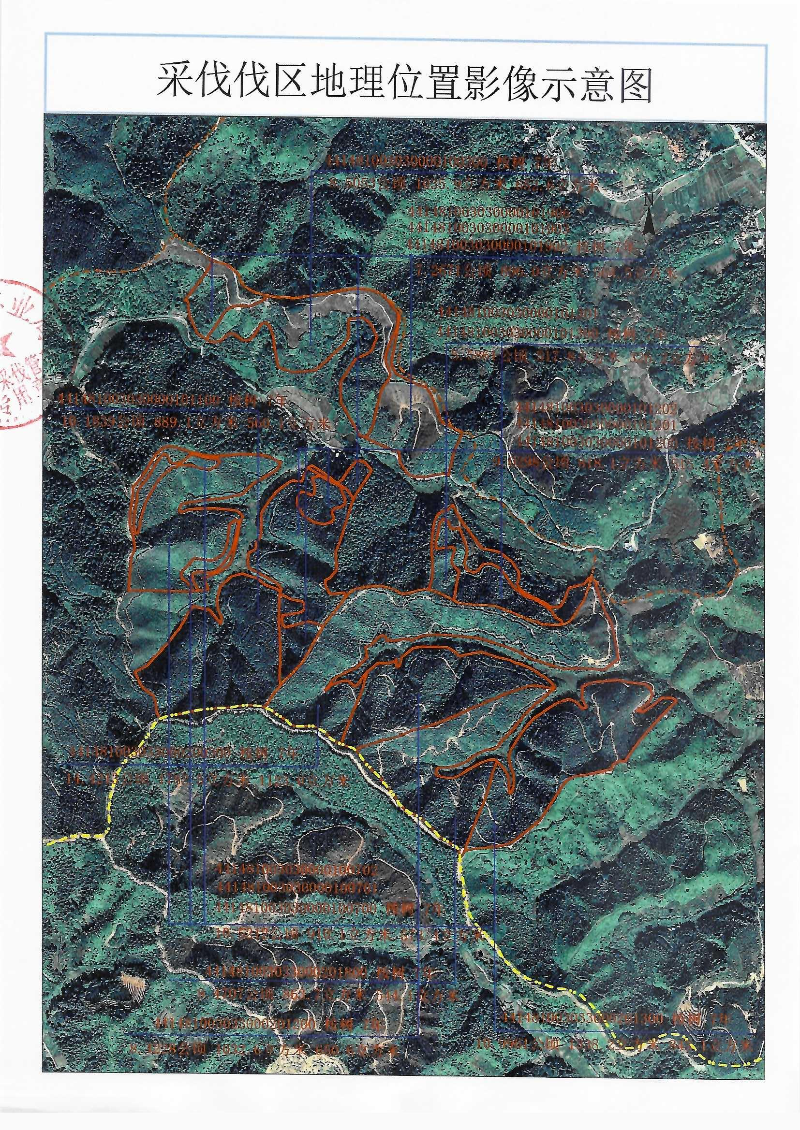 彭建明采伐公示_0004.jpg