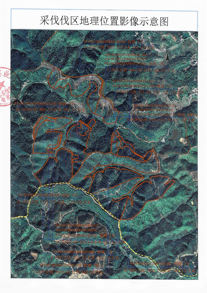 彭建明采伐公示_0006.jpg