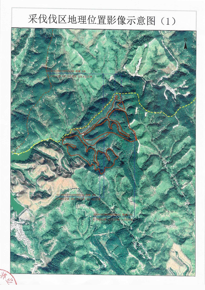 伐前公示_0002(7).jpg