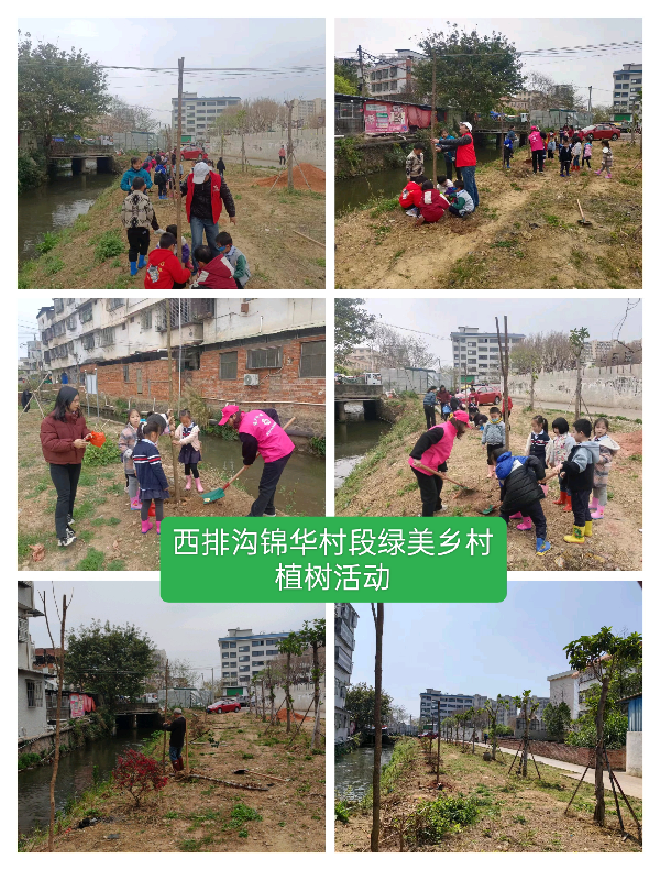 二、开展绿美环球国际
行动生态建设2.jpg
