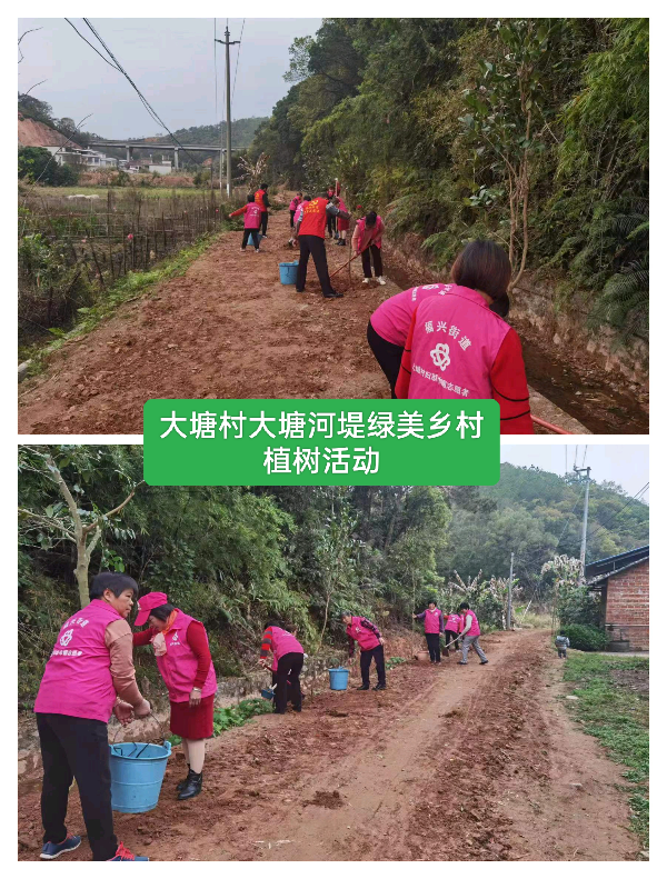 二、开展绿美环球国际
行动生态建设3.jpg