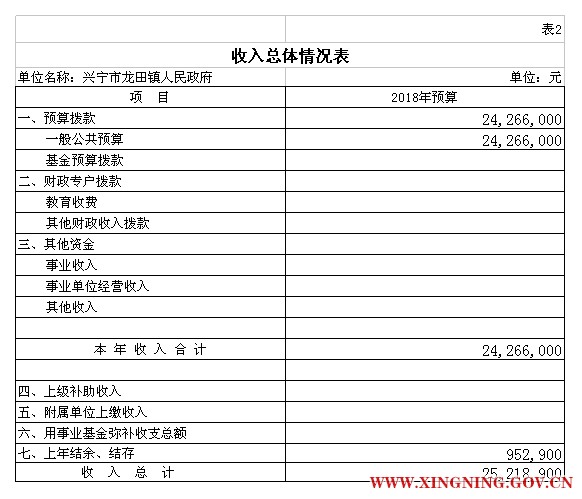 表2 2部门预算公开模板(电子表格18年补充).jpg
