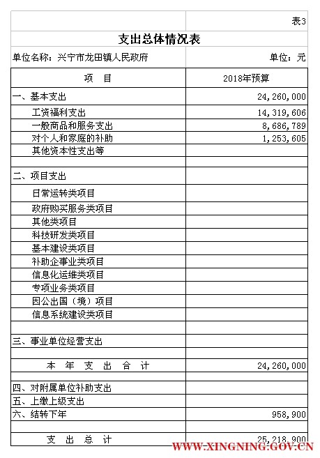 表3 2部门预算公开模板(电子表格18年补充).jpg