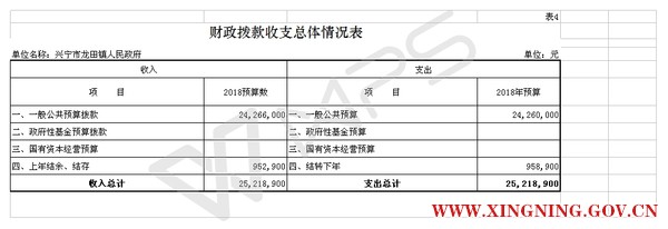 表4 2部门预算公开模板(电子表格18年补充).jpg