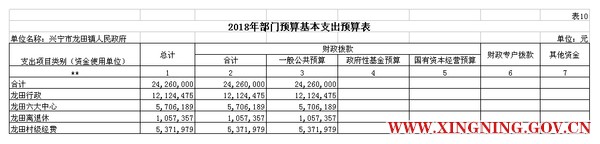 表10 2部门预算公开模板(电子表格18年补充).jpg